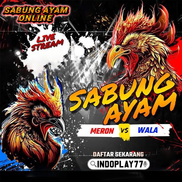 INDOPLAY77 $ Platform Bandar SV388 Agen Sabung Ayam Gampang Winstreak